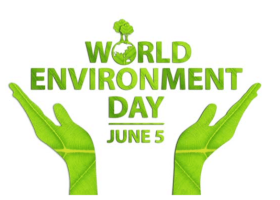 HỆ THỐNG PHÁP LUẬT VỀ MÔI TRƯỜNG