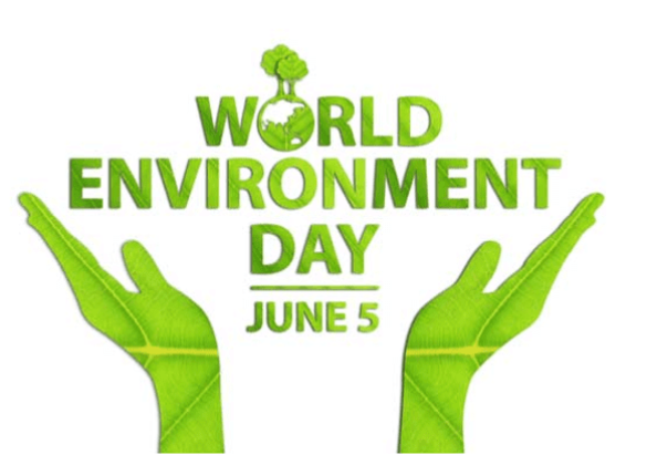 HỆ THỐNG PHÁP LUẬT VỀ MÔI TRƯỜNG